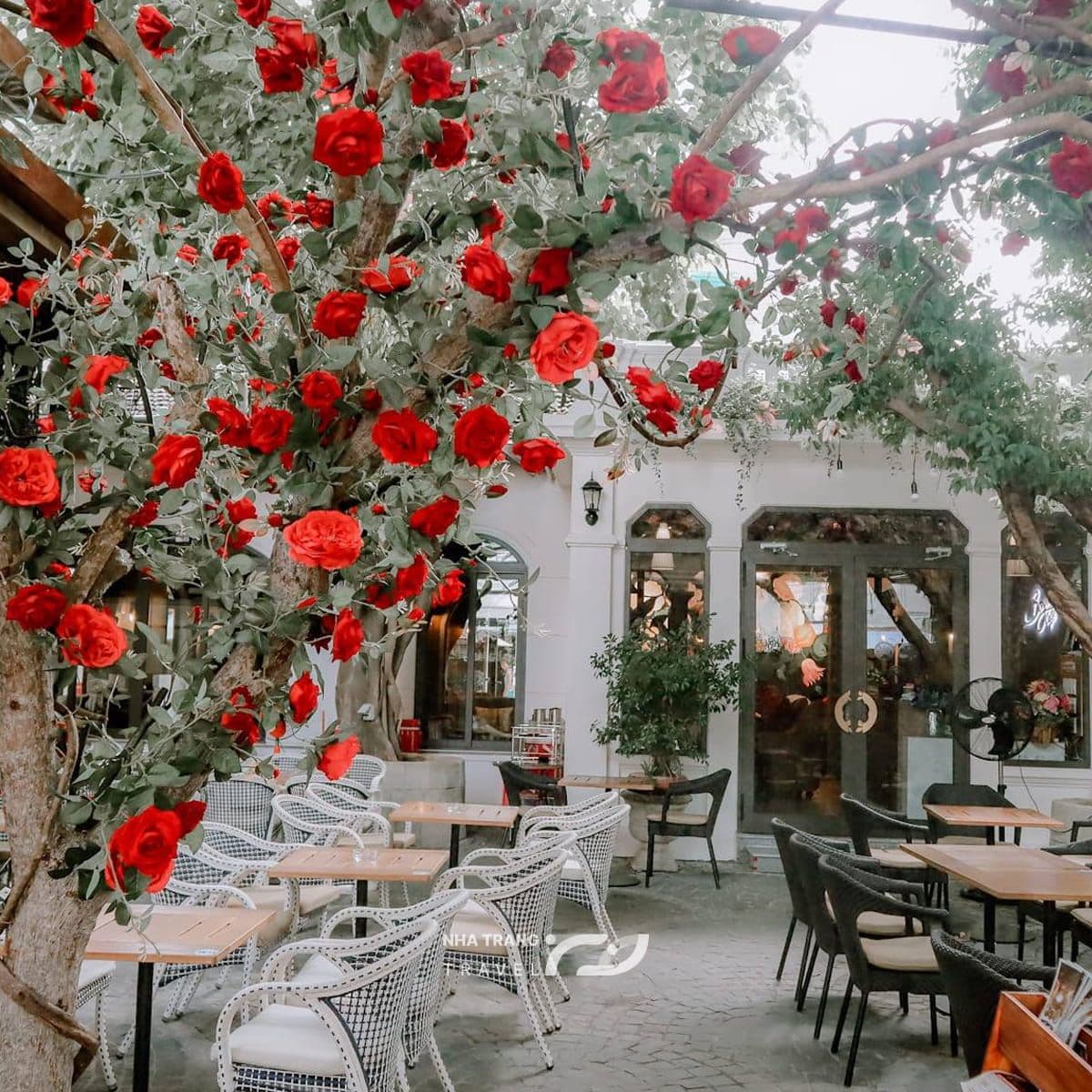 Café Bonjour Nha Trang