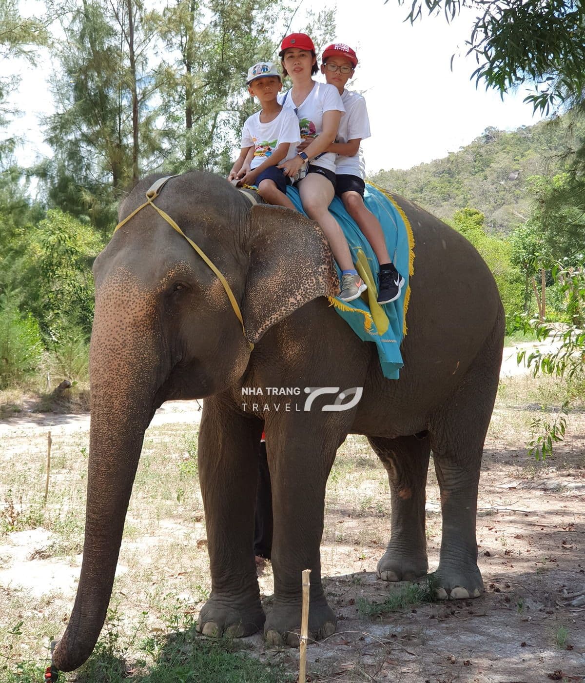 dao-hoa-lan-nha-trang