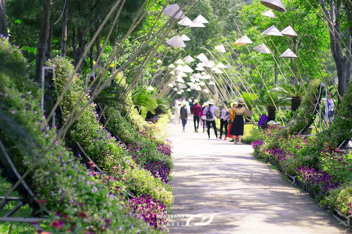 dao-hoa-lan-nha-trang