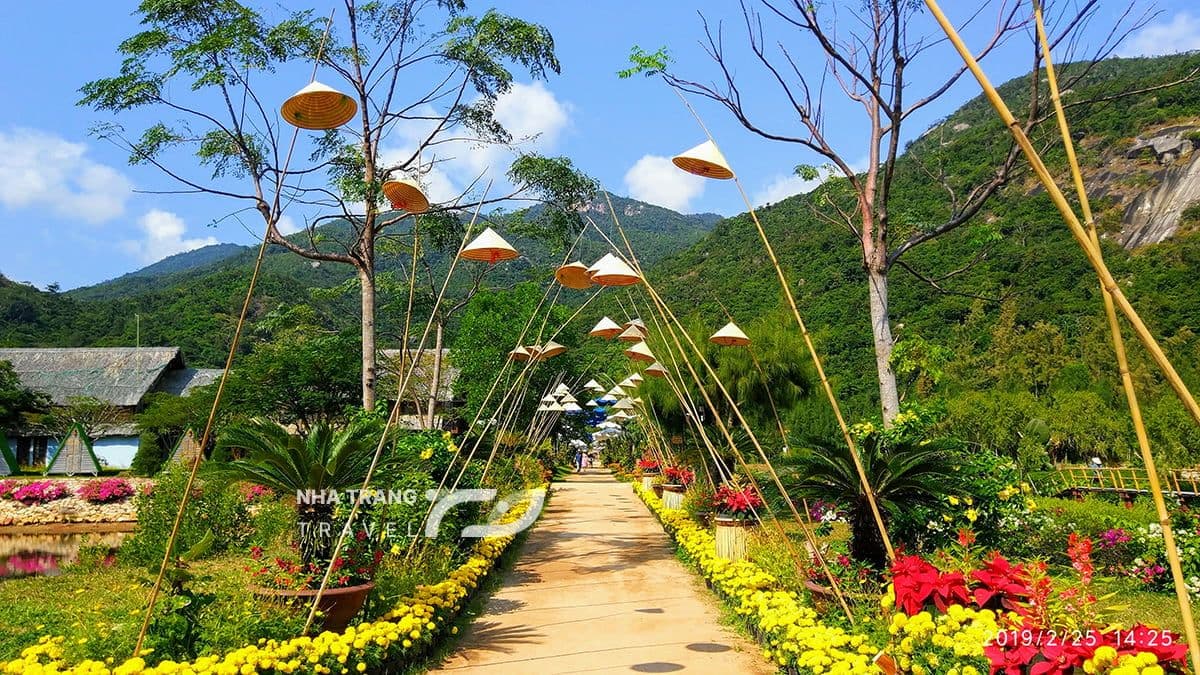 dao-hoa-lan-nha-trang