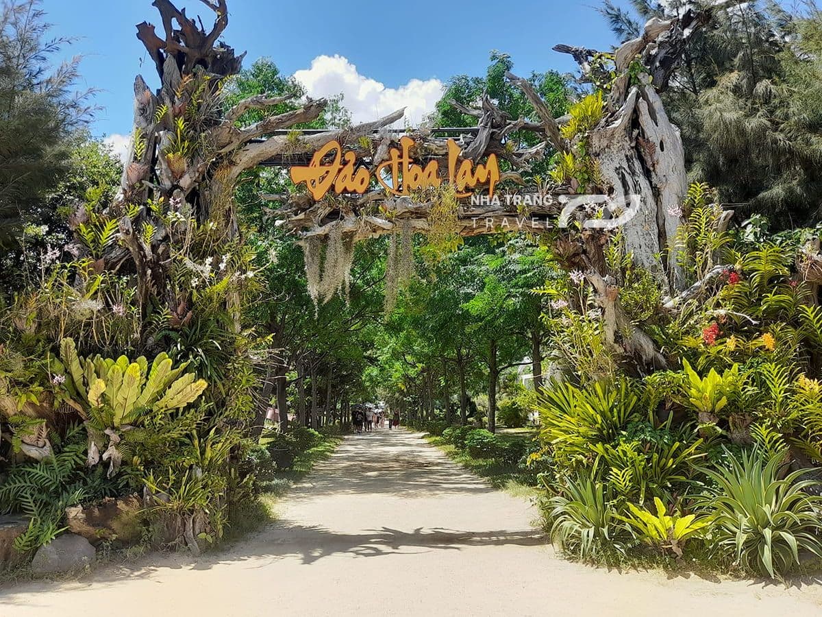 dao-hoa-lan-nha-trang