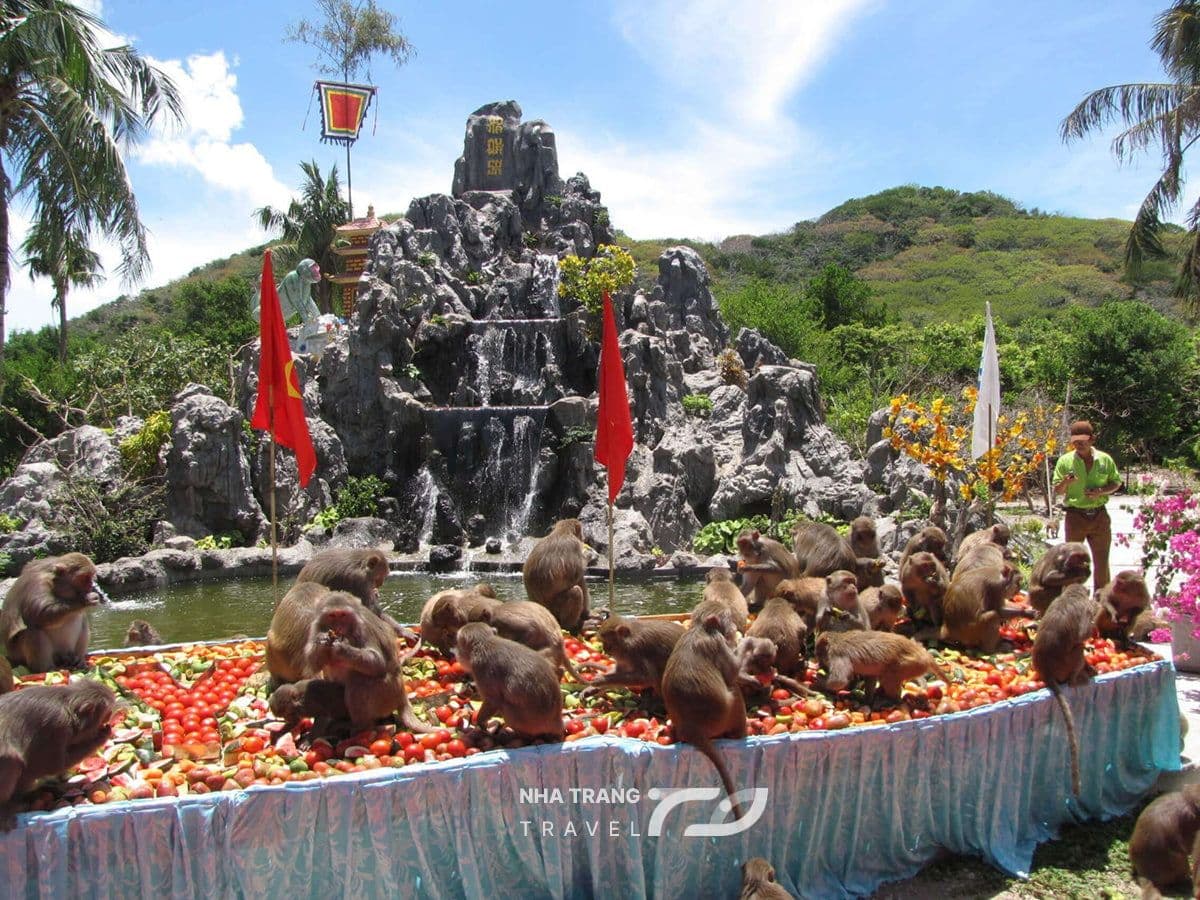 dao-khi-nha-trang