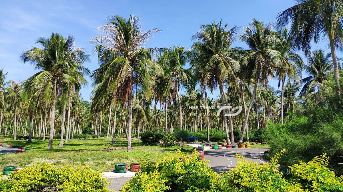 dao-khi-nha-trang