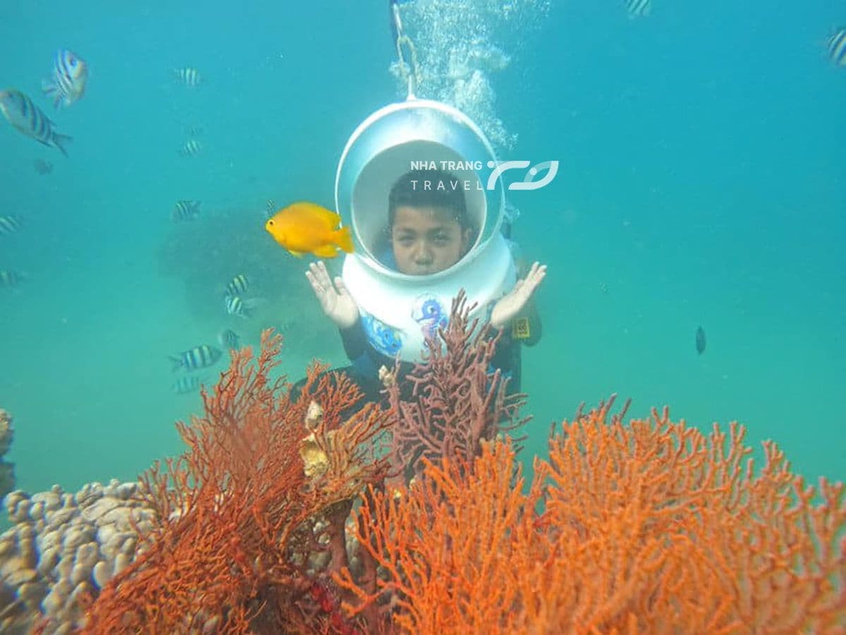 dao-robinson-nha-trang