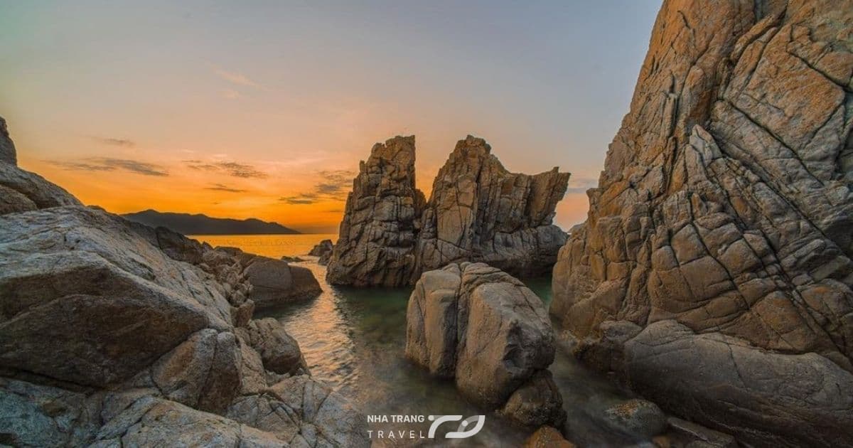 hang-heo-nha-trang