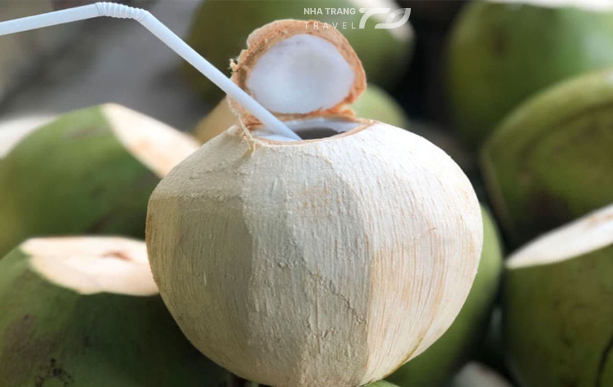 khu-da-ngoai-sinh-thai-bo-song-cai-nha-trang