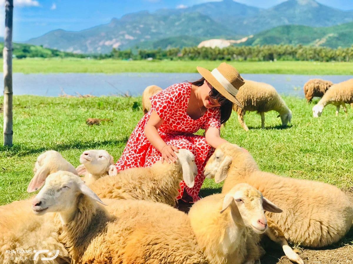 kinh-nghiem-di-tour-hang-rai-vinh-hy-nha-trang