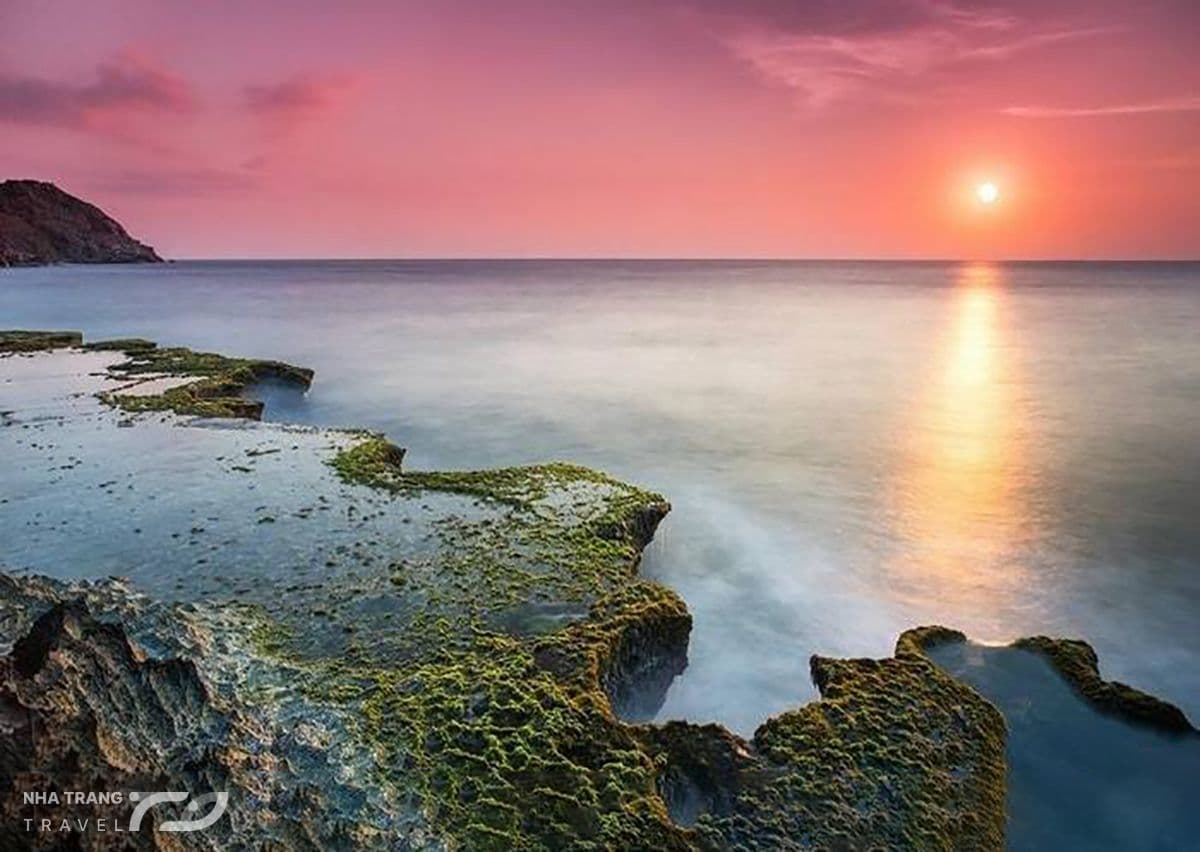 kinh-nghiem-di-tour-hang-rai-vinh-hy-nha-trang