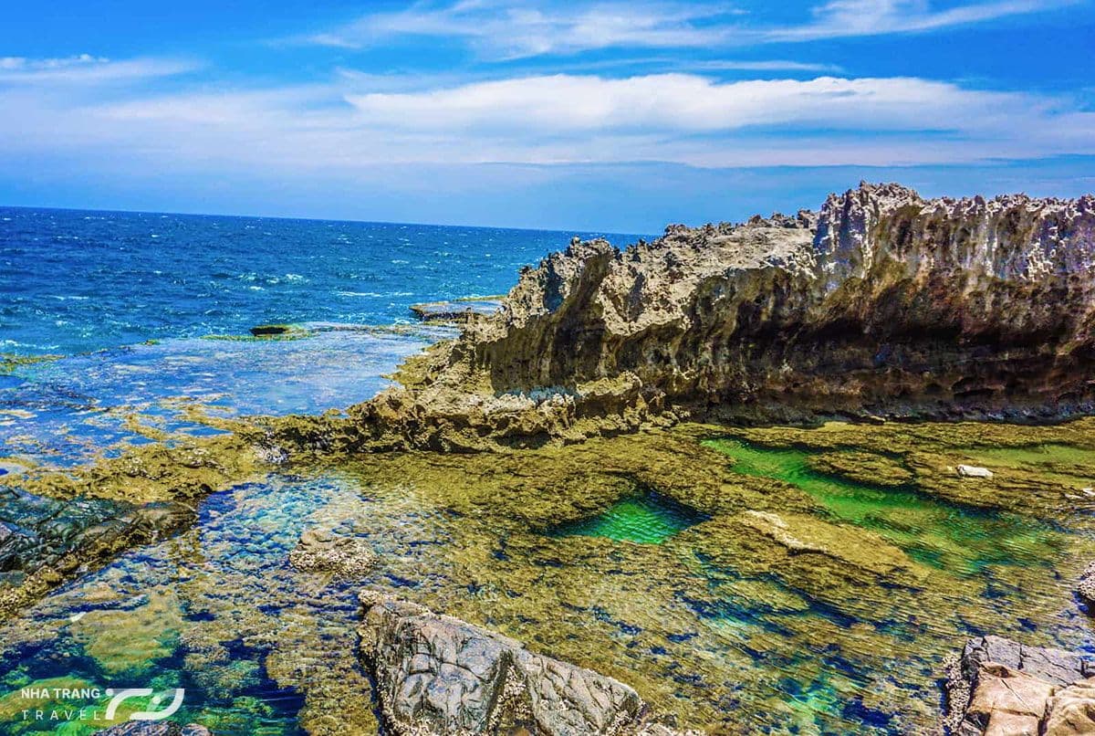 kinh-nghiem-di-tour-hang-rai-vinh-hy-nha-trang