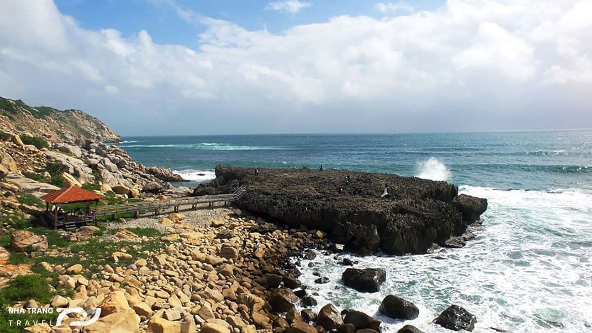 kinh-nghiem-di-tour-hang-rai-vinh-hy-nha-trang