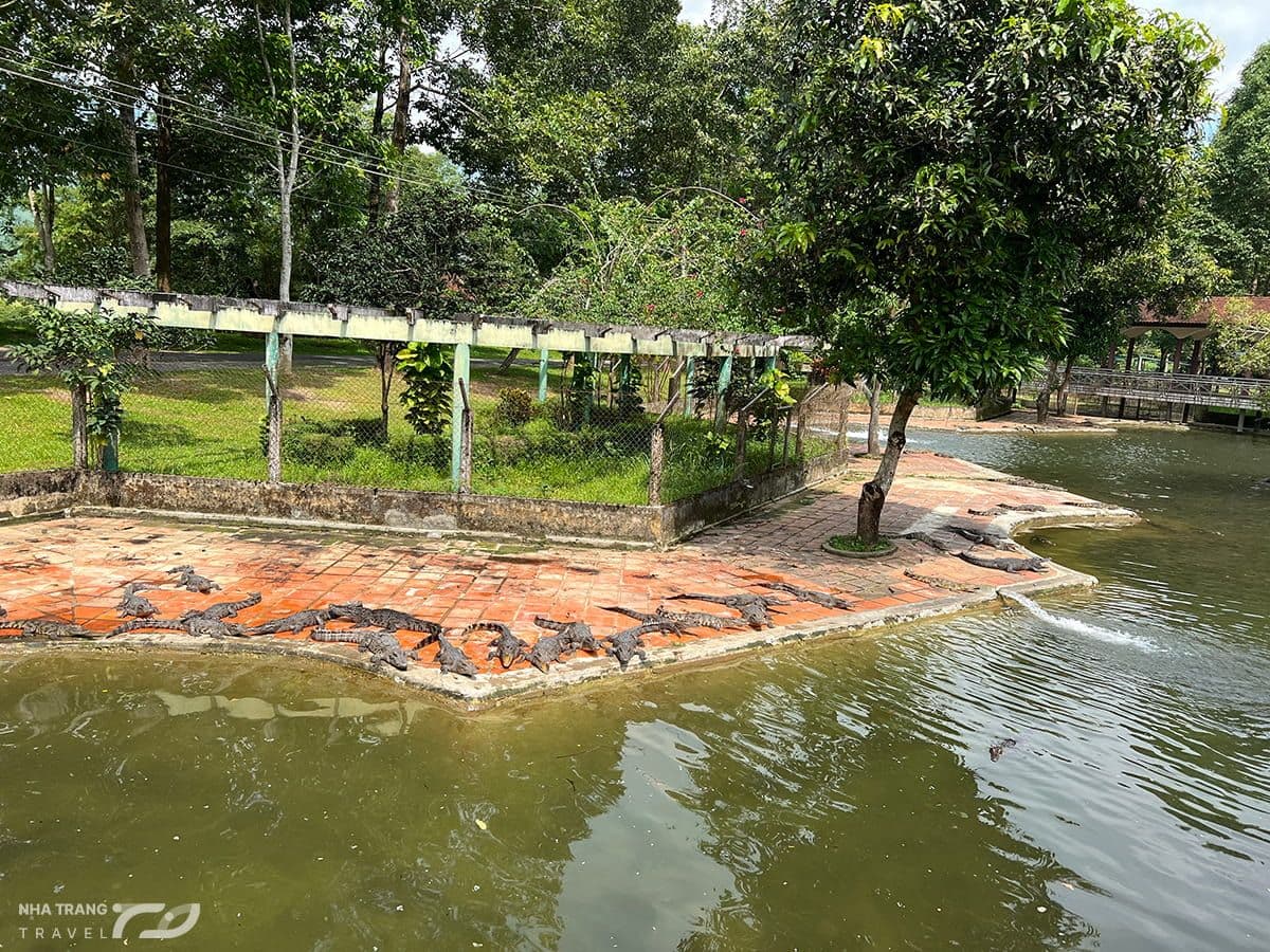kinh-nghiem-di-tour-thac-yang-bay-nha-trang