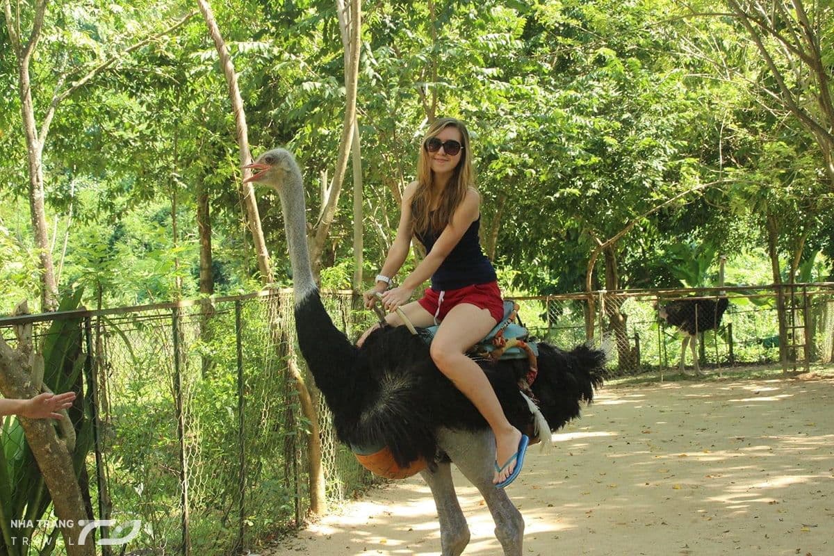 kinh-nghiem-di-tour-thac-yang-bay-nha-trang
