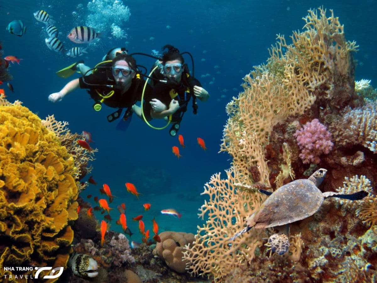 phan-biet-giua-lan-snorkeling-va-scuba-diving-nha-trang