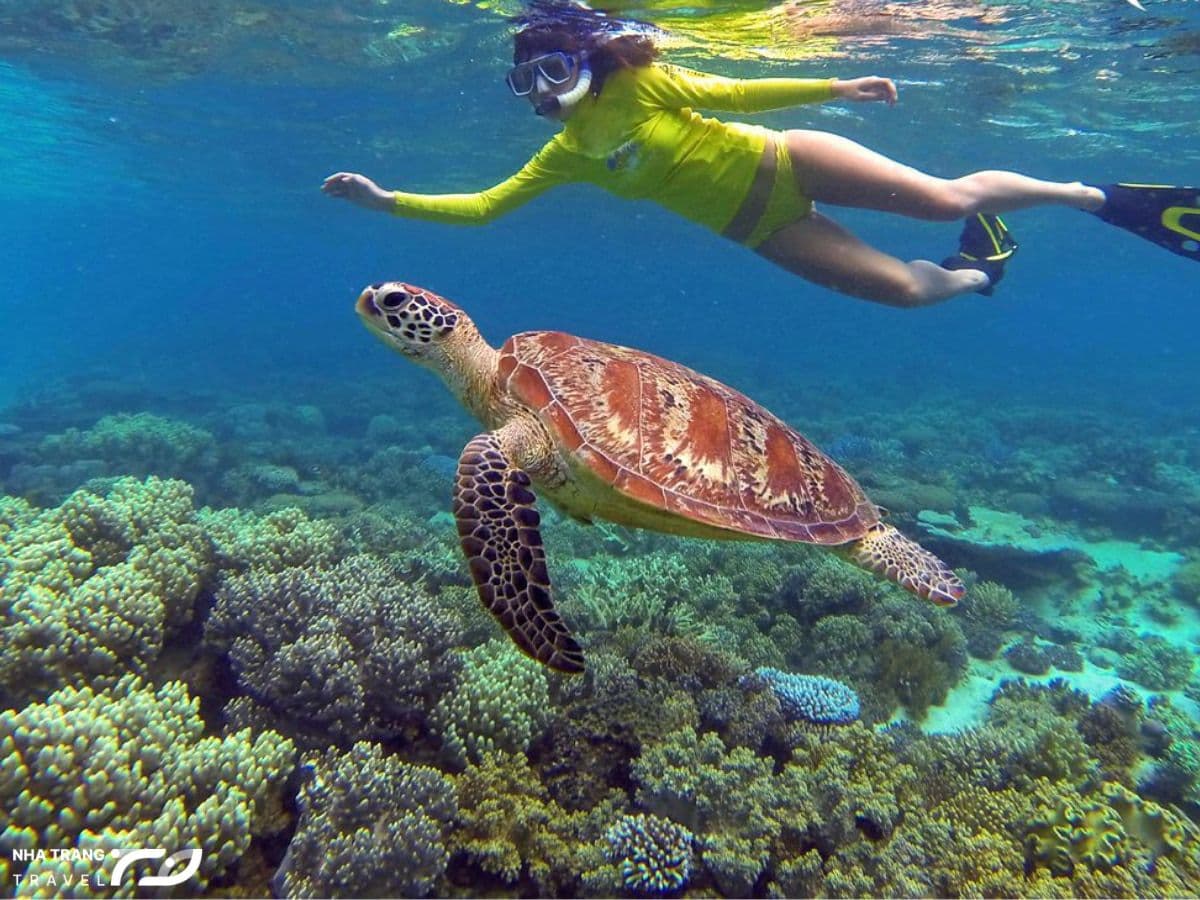 phan-biet-giua-lan-snorkeling-va-scuba-diving-nha-trang