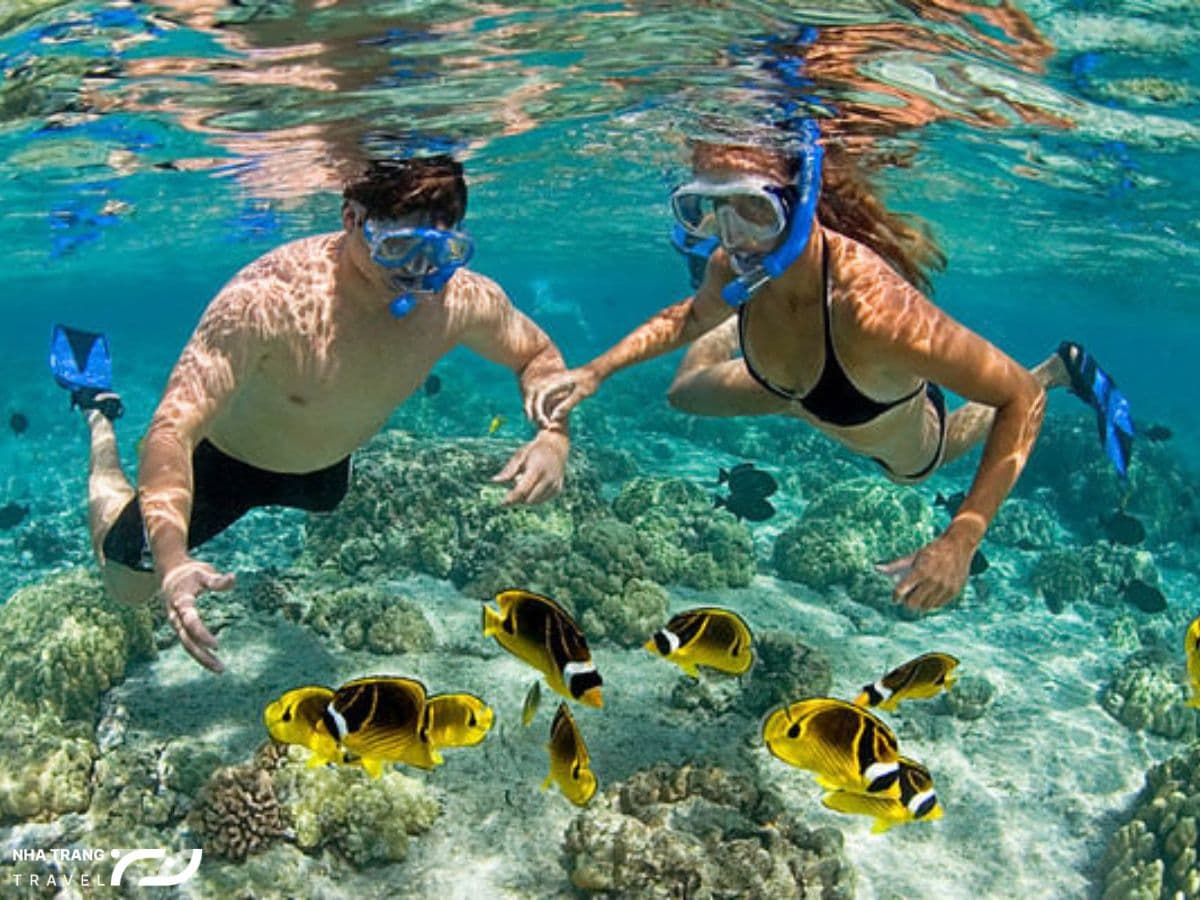 phan-biet-giua-lan-snorkeling-va-scuba-diving-nha-trang