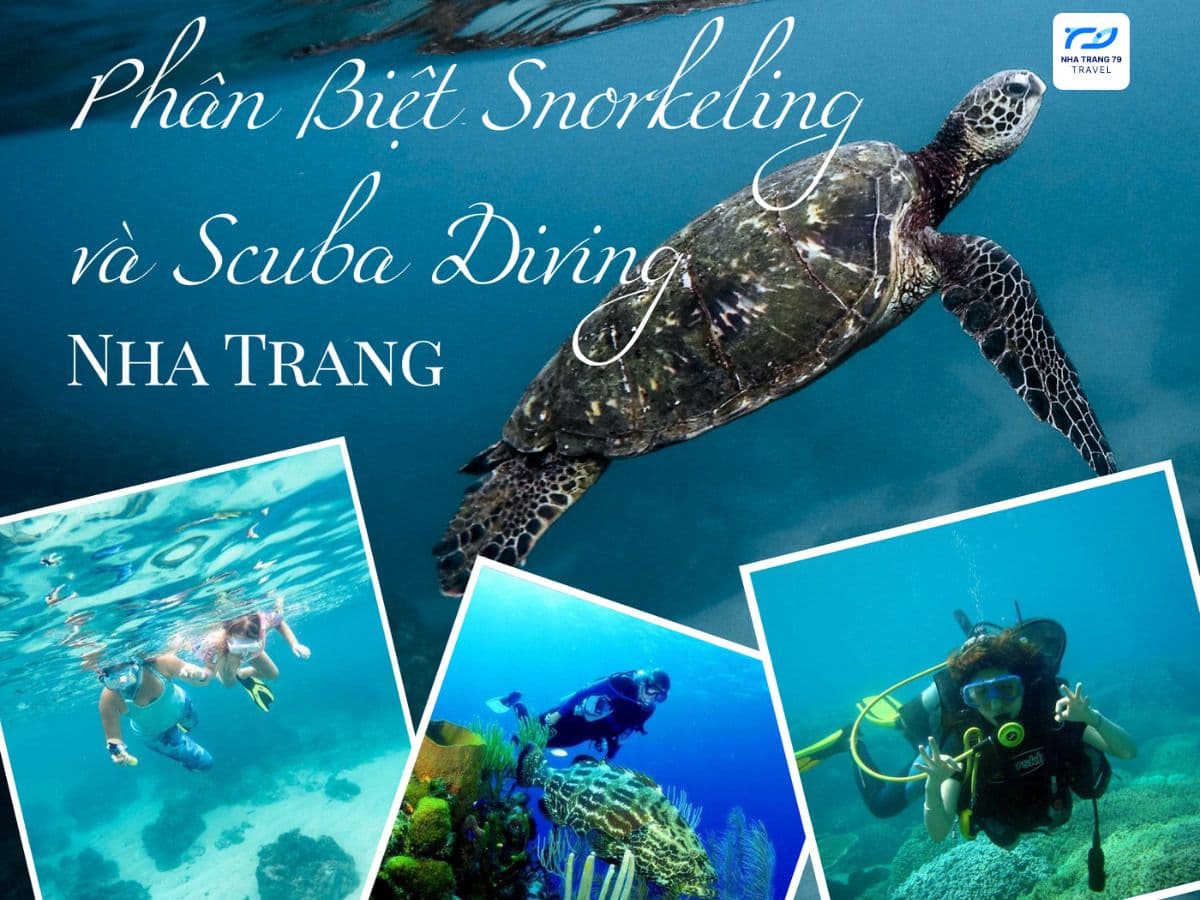 Phân Biệt Snorkeling Và Scuba Diving