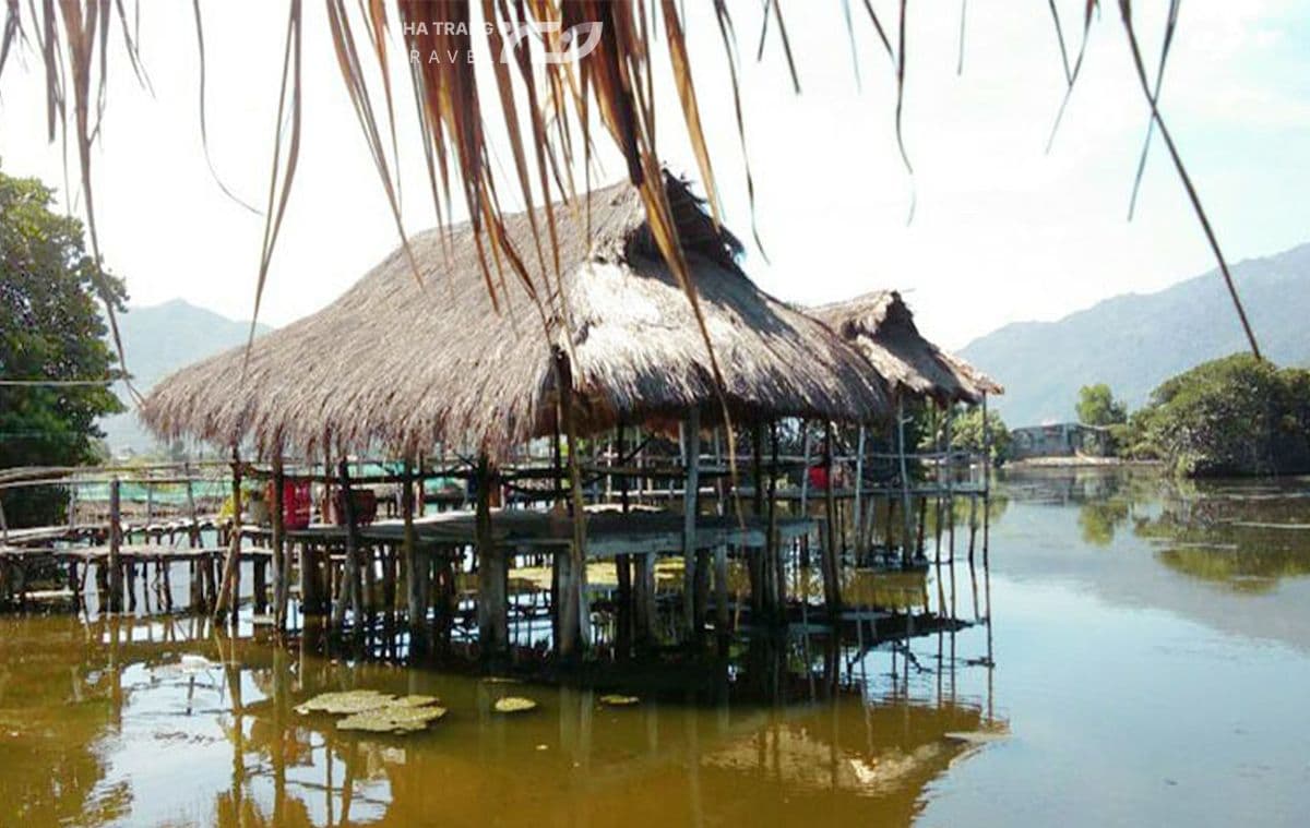 rung-duoc-nha-trang