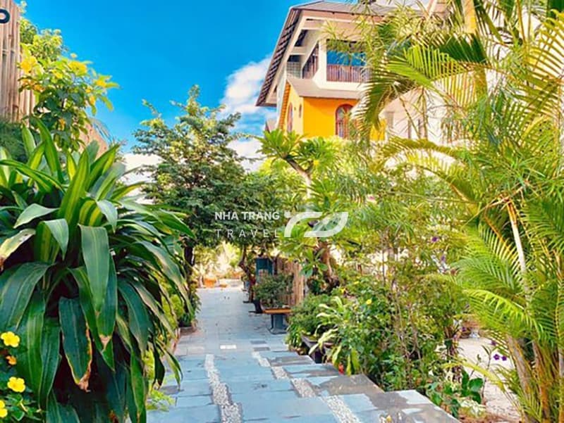 sen-spa-nha-trang