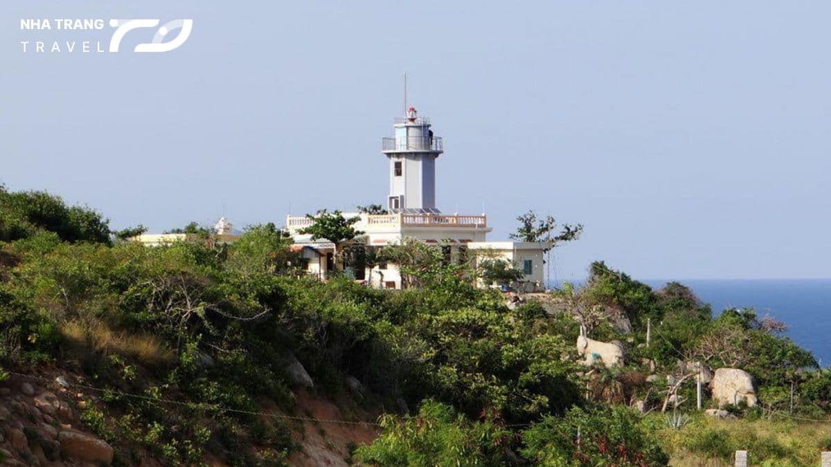 thue-tau-cano-di-binh-hung-nha-trang