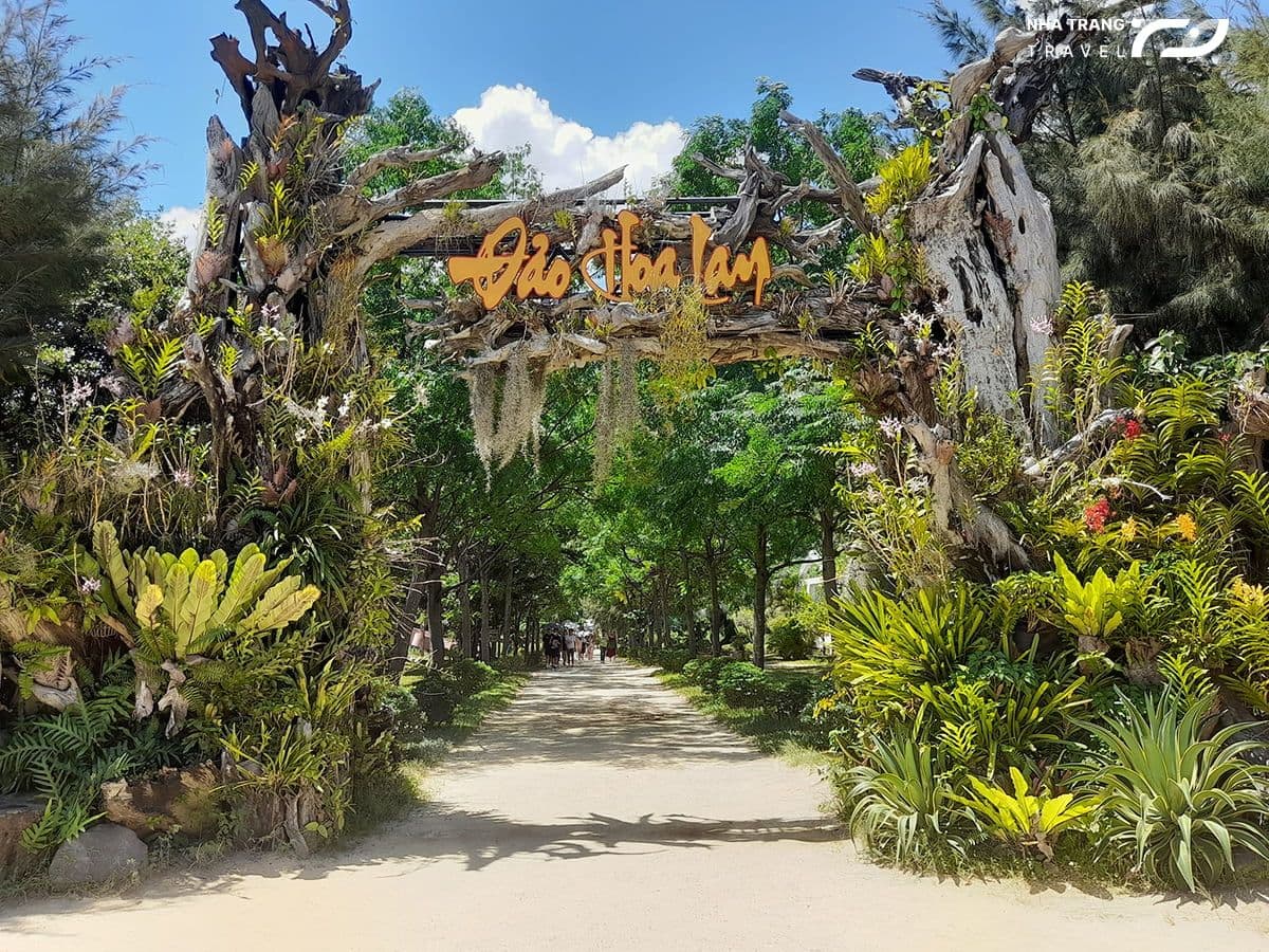 thue-tau-cano-di-dao-hoa-lan-dao-khi-nha-trang