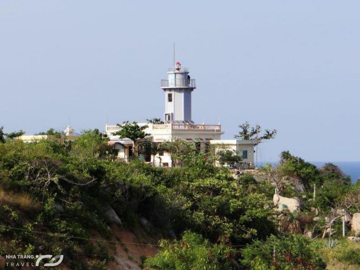 tour-dao-binh-hung-cam-ranh-1-ngay