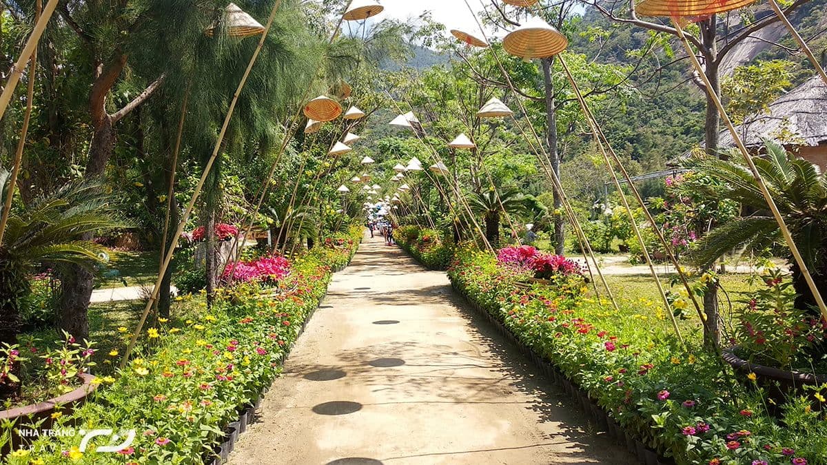 tour-dao-hoa-lan-2-ngay-1-dem
