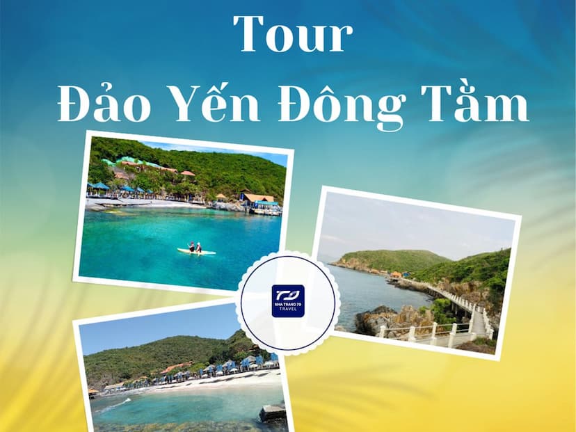 Tour Đảo Yến Đông Tằm