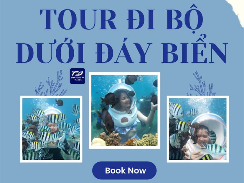 Tour Đi Bộ Dưới Đáy Biển Nha Trang