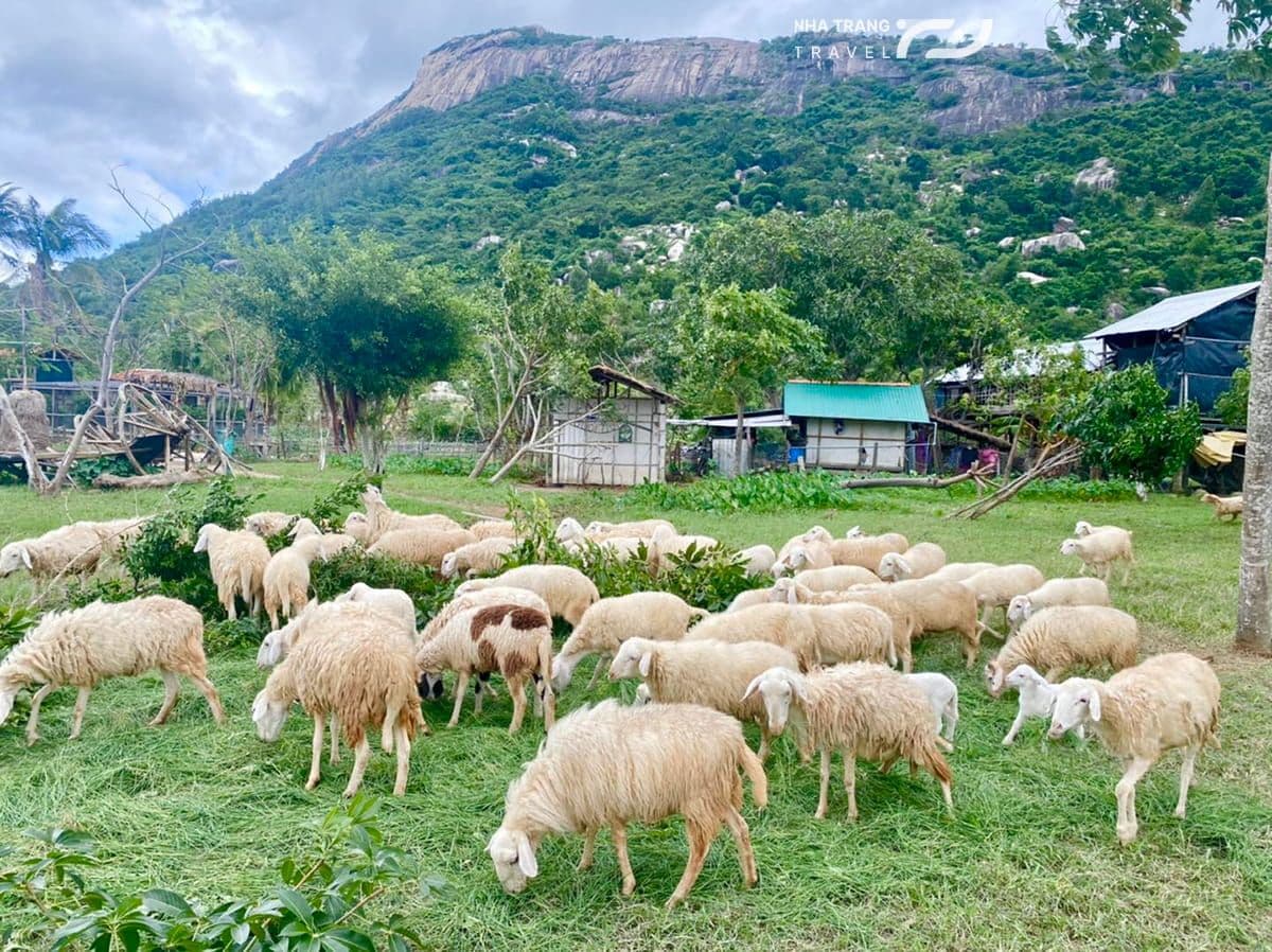 tour-hang-rai-vinh-hy