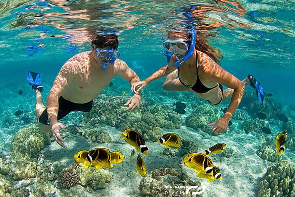 tour-hon-tam-nha-trang