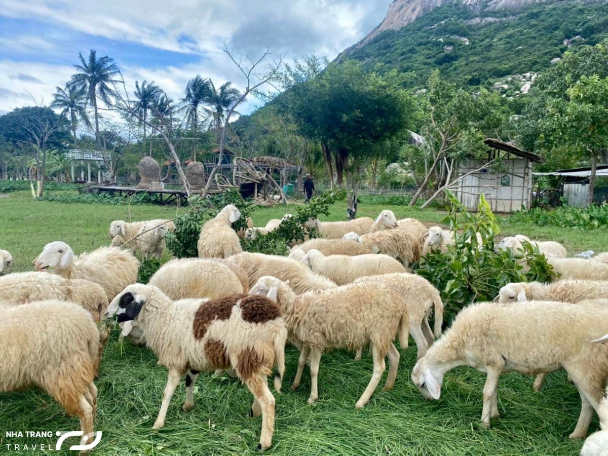 tour-nha-trang-5-ngay-4-dem
