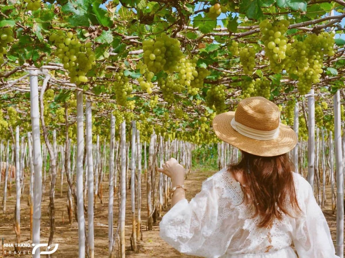 tour-nha-trang-5-ngay-4-dem