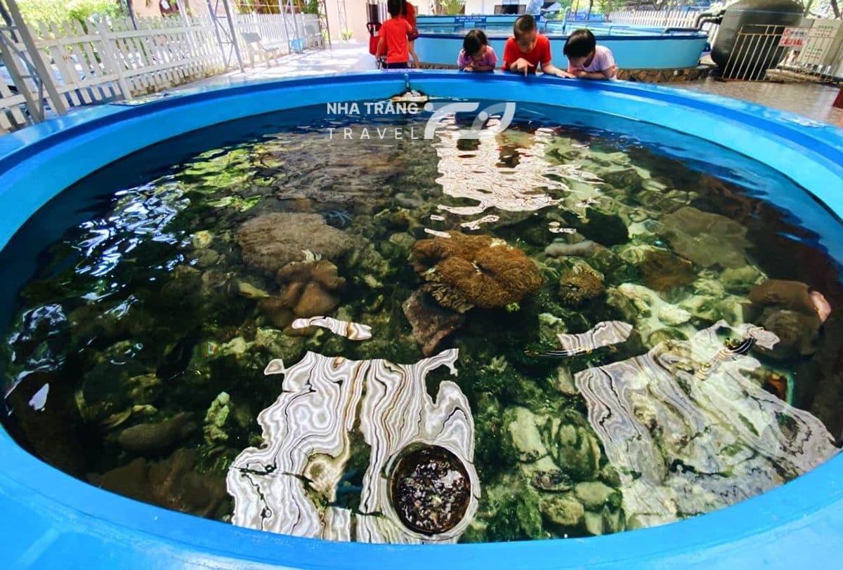 vien-hai-duong-hoc-nha-trang
