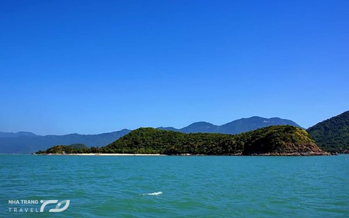 vinh-nha-phu-nha-trang