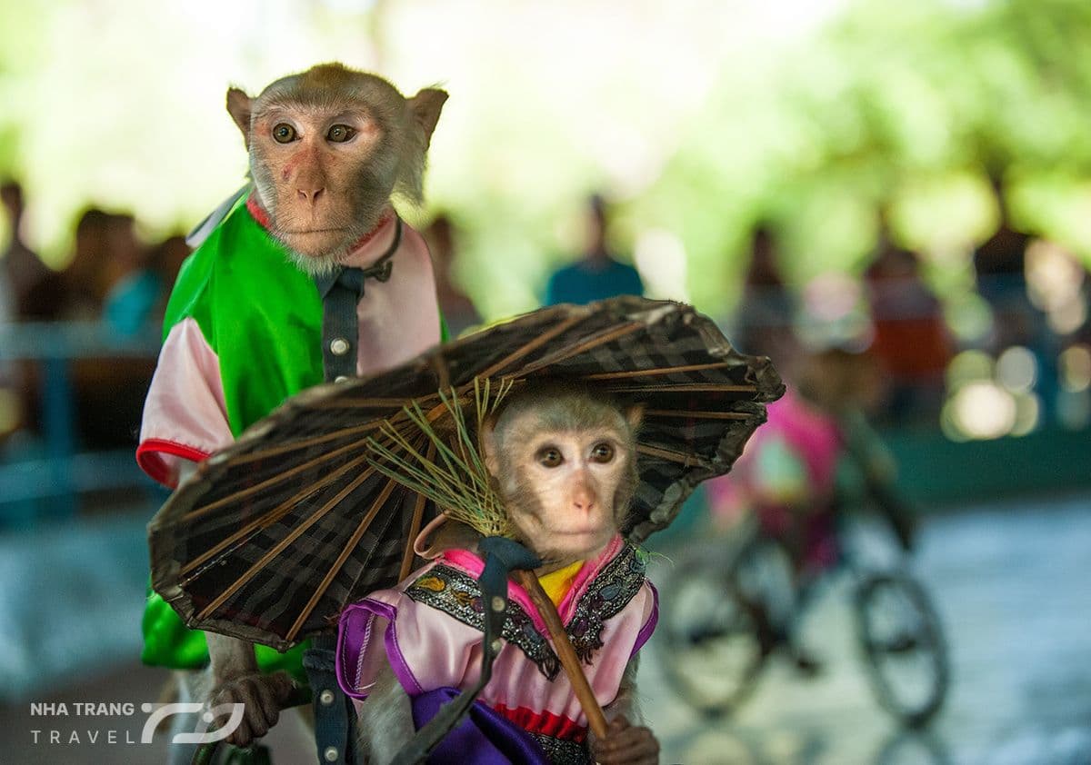 vinh-nha-phu-nha-trang