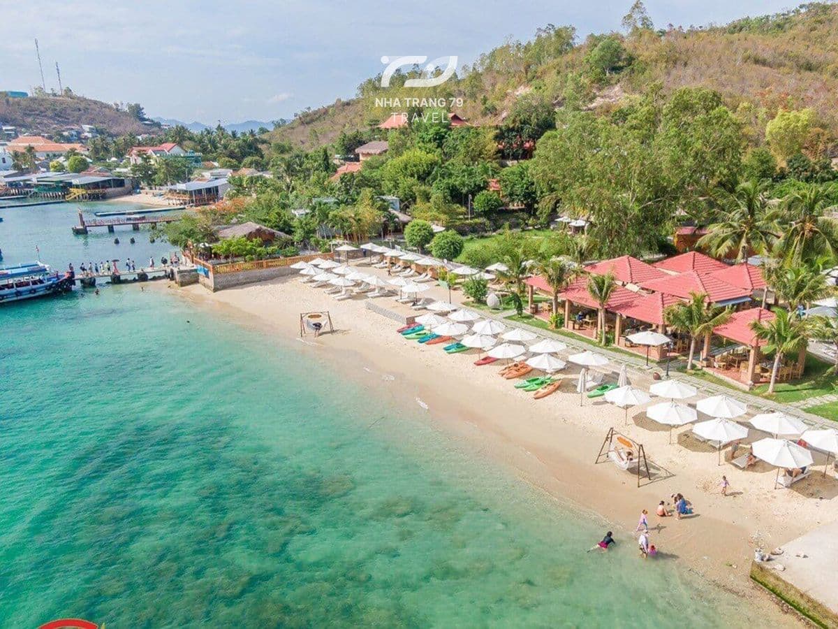 Vịnh San Hô Nha Trang: Sở Hữu Hệ Sinh Thái Biển Hấp Dẫn