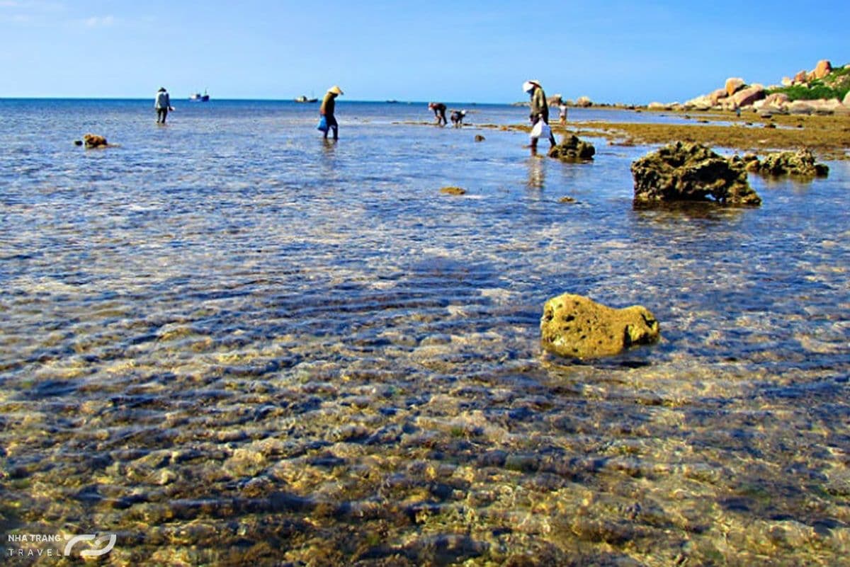 vinh-van-phong-nha-trang