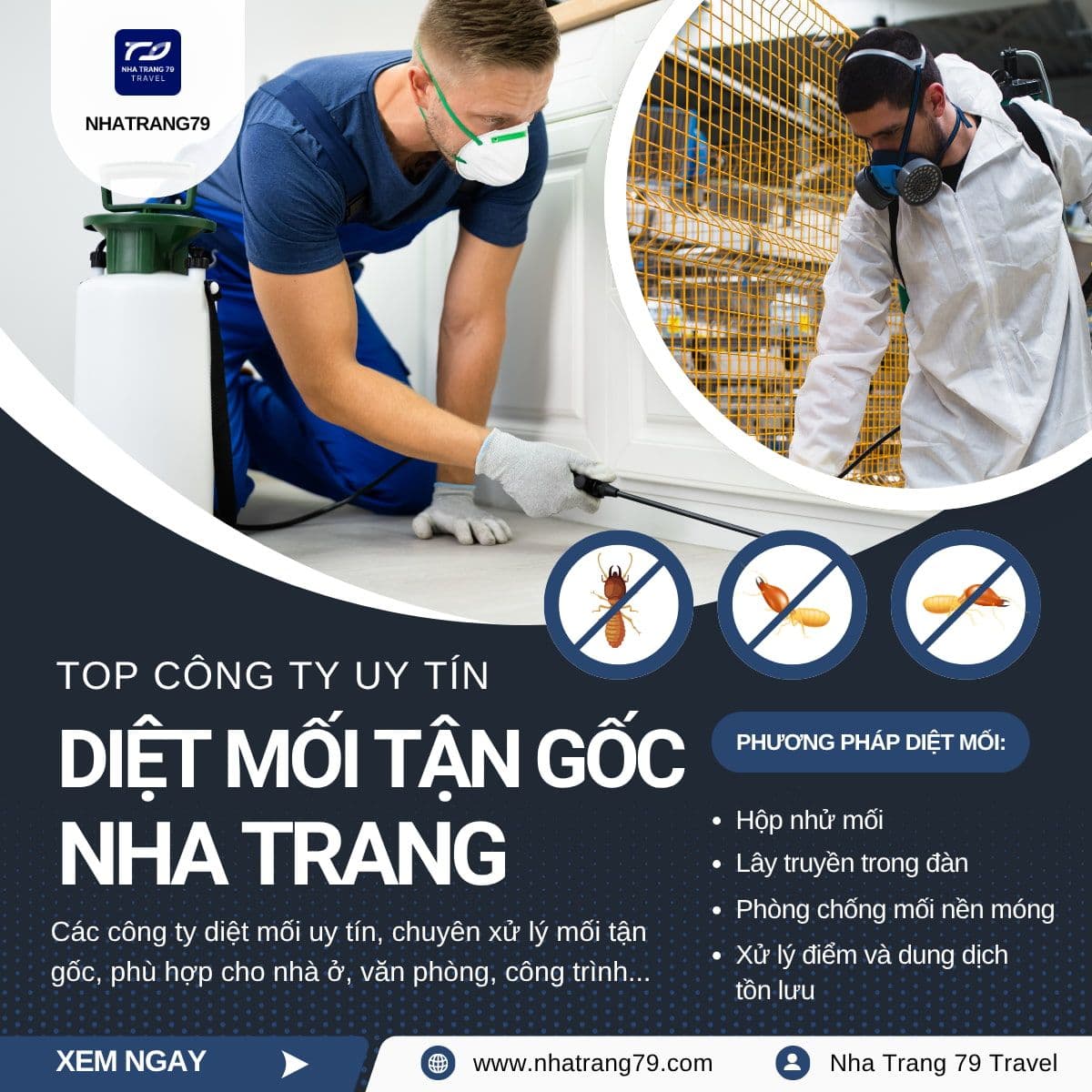 Top Công Ty Diệt Mối Nha Trang
