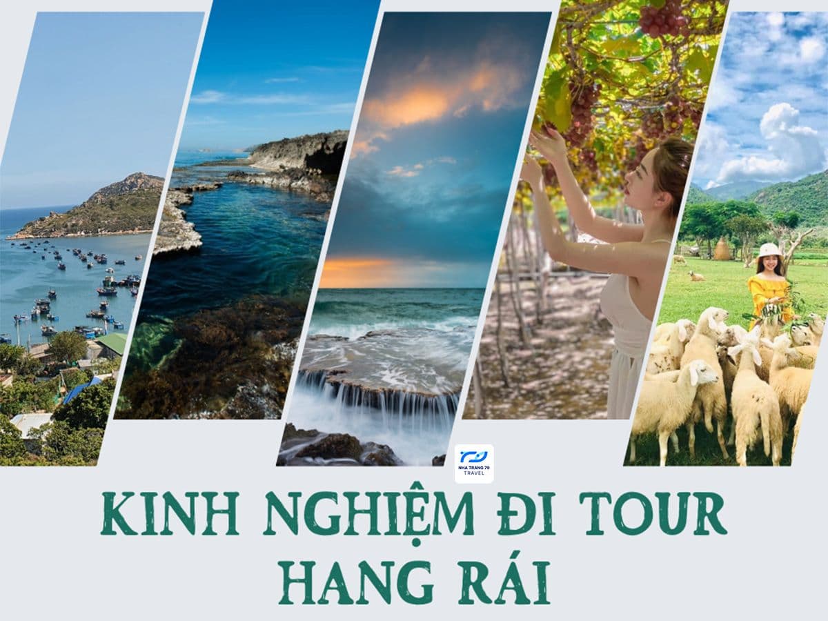 Kinh Nghiệm Du Lịch Hang Rái Vĩnh Hy