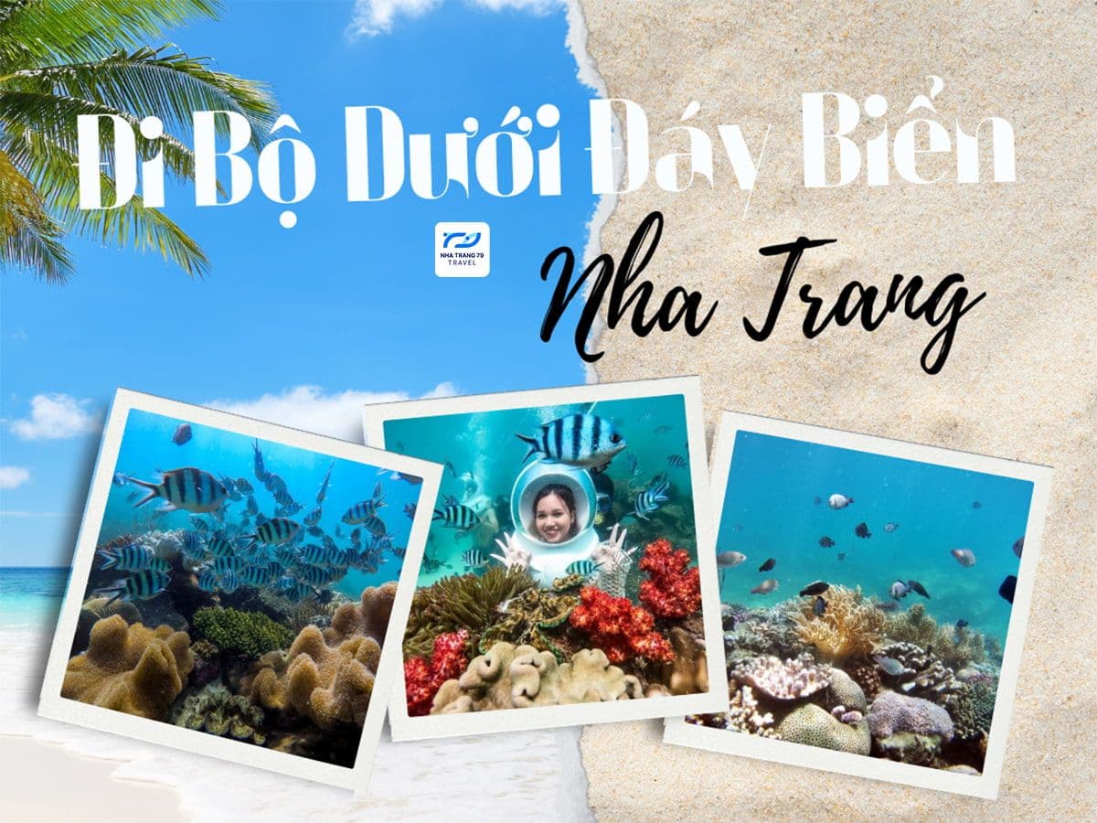 Kinh Nghiệm Đi Bộ Dưới Đáy Biển Nha Trang