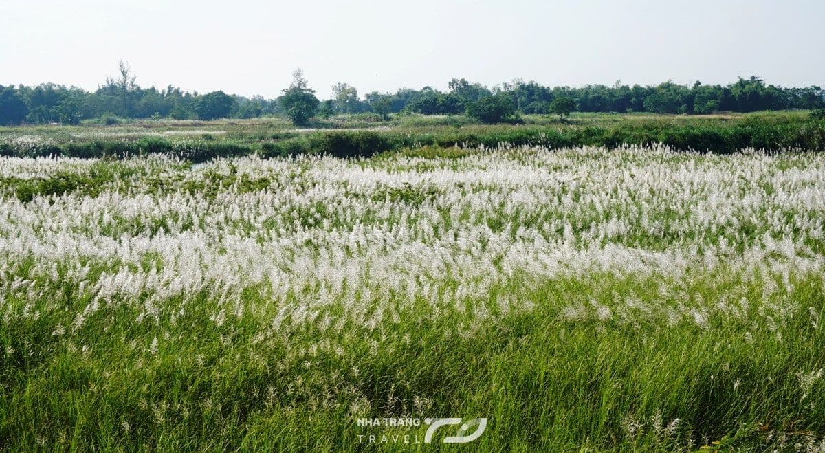 tour-dao-diep-son-nha-trang